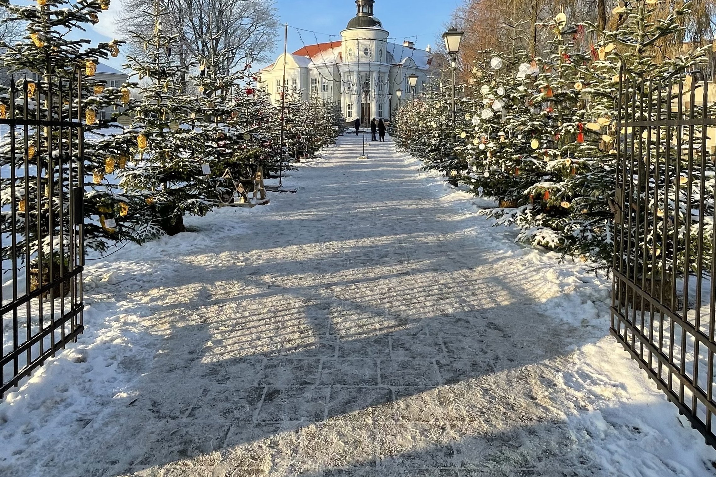 Naujienos titulinė nuotrauka