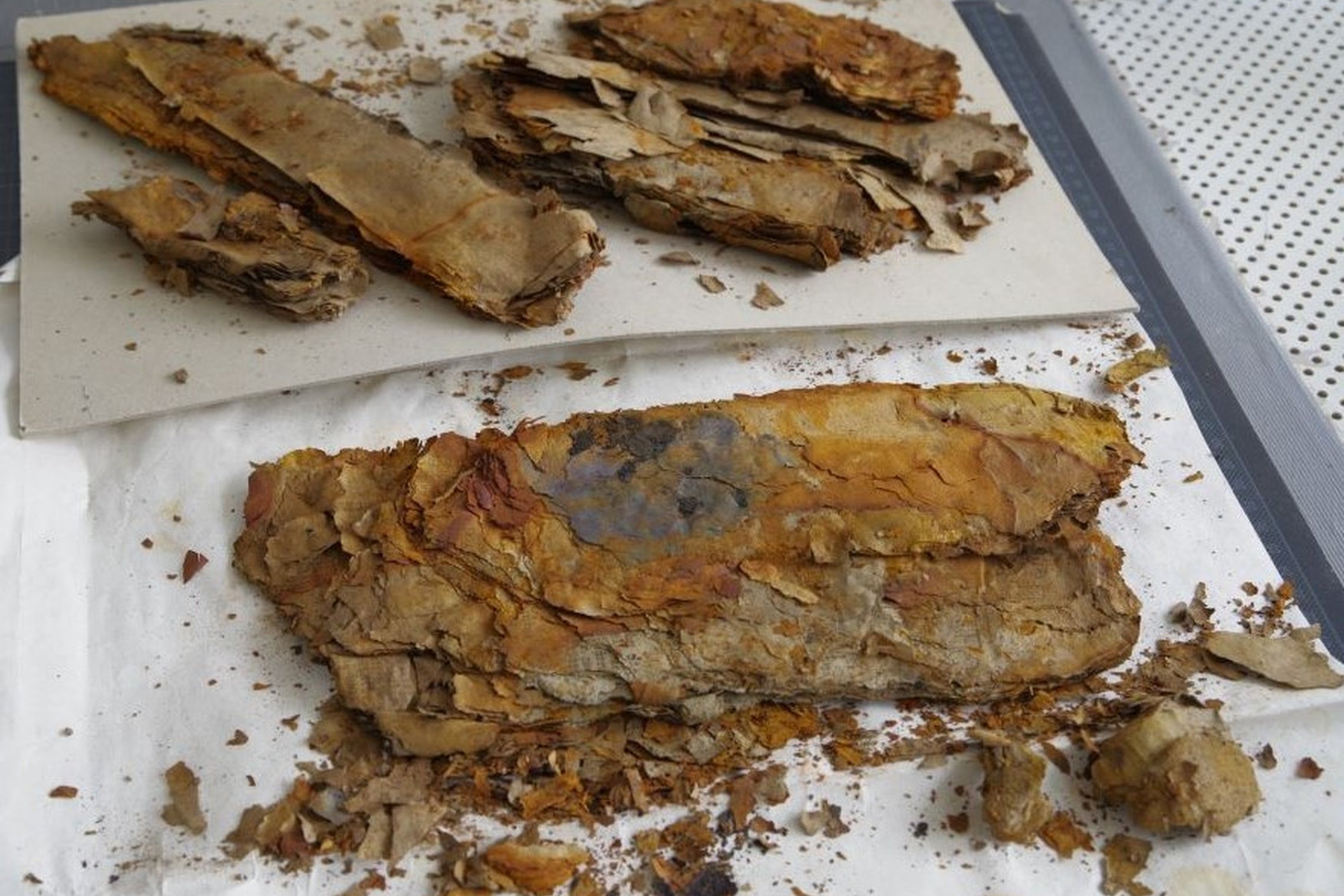 Iliustracija